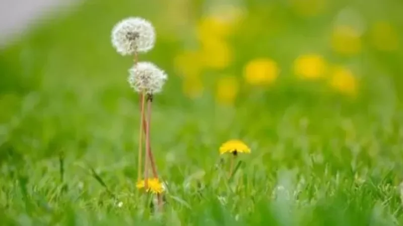 Ջերմաստիճանը զգալի կնվազի. առաջիկա օրերի եղանակը