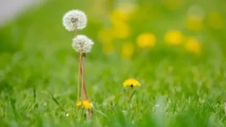 Ջերմաստիճանը զգալի կնվազի. առաջիկա օրերի եղանակը