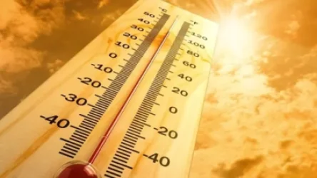 Ուժեղ շոգի պատճառով մոտ 200 հազար մարդ մնացել է առանց էլեկտրականության