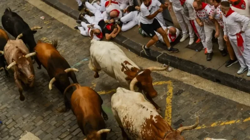 Photos: San Fermín Festival Kicks Off in Spain, 6 Injured During Bull Run
