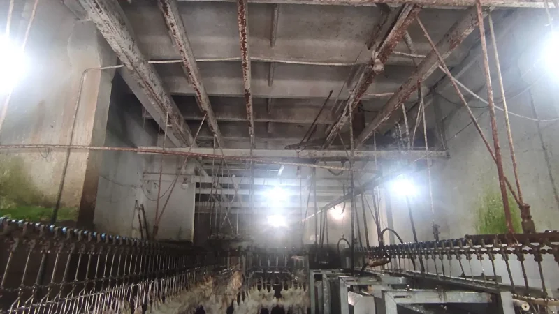 PHOTOS: Poultry Production Plant Activity Suspended