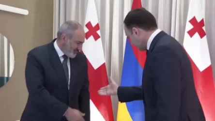 ՏԵՍԱՆՅՈՒԹ. Փաշինյանն ու Ղարիբաշվիլին առանձնազրույց են ունեցել