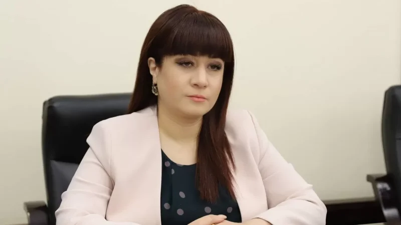 Նիկոլ Փաշինյանի մամուլի խոսնակը՝ Վարդան Օսկանյանի առաջարկի մասին