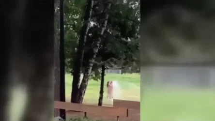 18+ ՏԵՍԱՆՅՈՒԹ. Սիրահար զույգը մերկ ֆոտոսեսիա է կազմակերպել այգում. ՌԴ