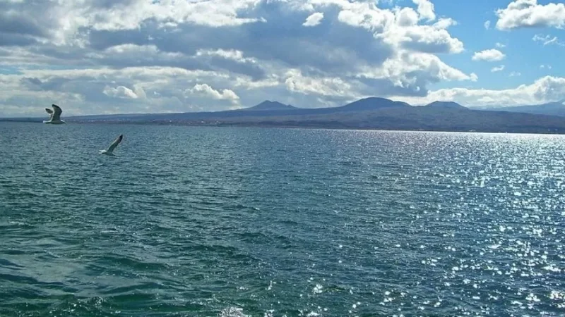 «Սևան ազգային պարկ»-ի տնօրենը հափշտակել է առանձնապես խոշոր չափերով գումար