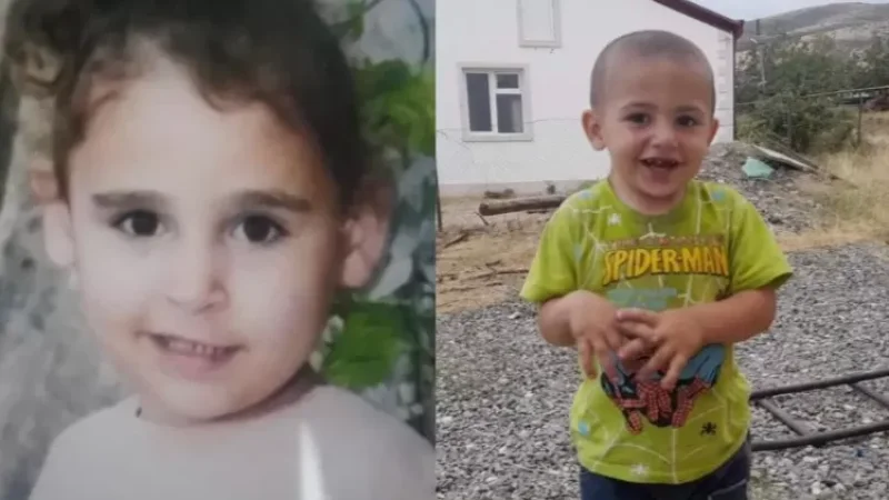 ԼՂ-ում 3-ամյա և 6-ամյա բնակիչները մահացել են հումանիտար լուրջ իրավիճակի հետևանքով․ Արարատ Միրզոյան