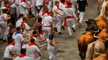 ՏԵՍԱՆՅՈՒԹ․ Ցլերի հետ վազքի ընթացքում շուրջ 40 մարդ է տուժել