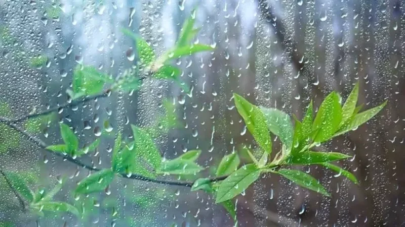 Անձրև և ամպրոպ կլինի. եղանակի տեսություն