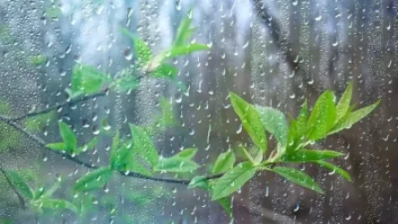 Անձրև և ամպրոպ կլինի. եղանակի տեսություն