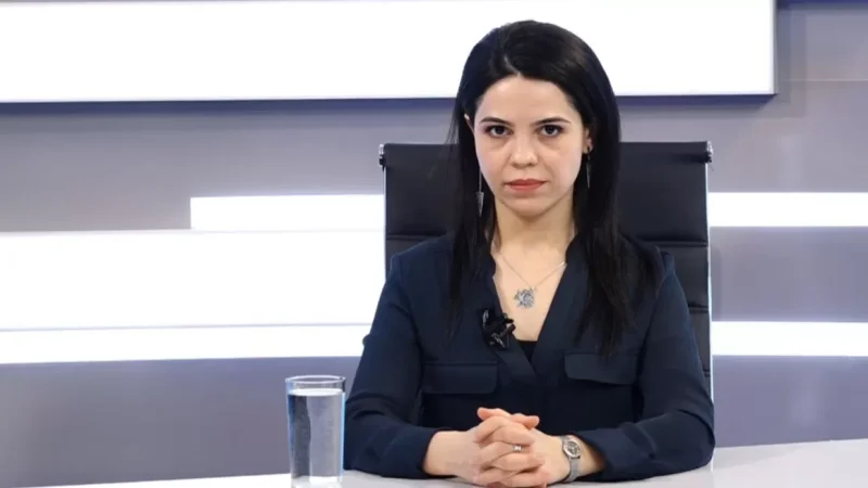 Ուղղակի խայտառակություն է. Տաթևիկ Հայրապետյանը՝ Շառլ Միշելի հայտարարության մասին