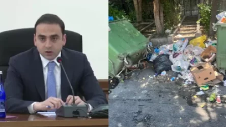 ՏԵՍԱՆՅՈՒԹ. ՈՒնենք աղբահանության խնդիր. Ավինյանին հայտնեցին պատճառը