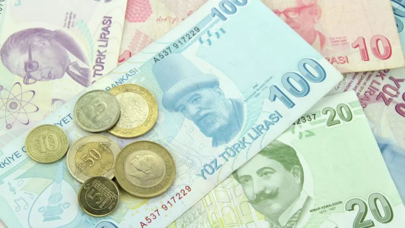 Թուրքական լիրան գրանցել է նոր հակառեկորդ