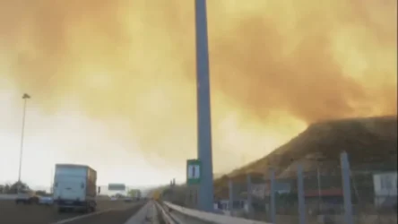 ՏԵՍԱՆՅՈՒԹ․ Խոշոր հրդեհներ՝ Աթենքի մերձակայքում․ 200-ից ավելի հրշեջներ պաքարում են դրա դեմ