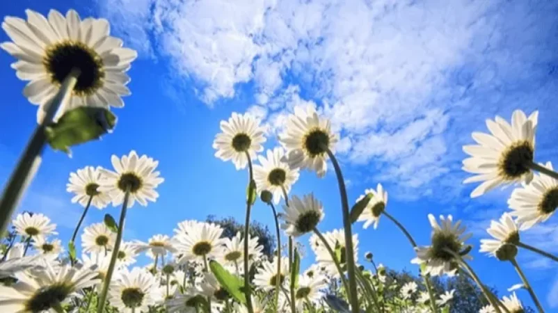 Օդի ջերմաստիճանը աստիճանաբար կբարձրանա