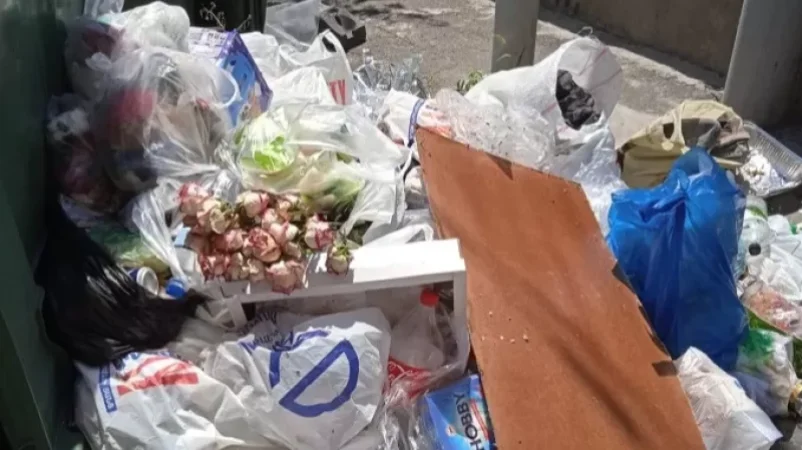 Photos: 'The Face of Malatya's Waste Collection Service, Such a Condition Hasn't Existed for a Long Time' – Anahit Bakhsyan