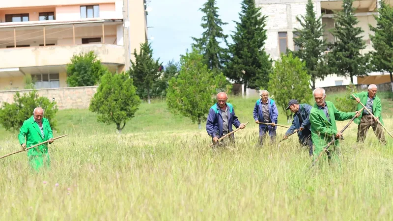 PHOTOS: Stepanakert's grassy areas are being cleaned with sickles during the summer heat