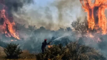ՏԵՍԱՆՅՈՒԹ․ Անտառային հրդեհներ՝ Հունաստանում․ պատճառը ծայրահեղ շոգերն են