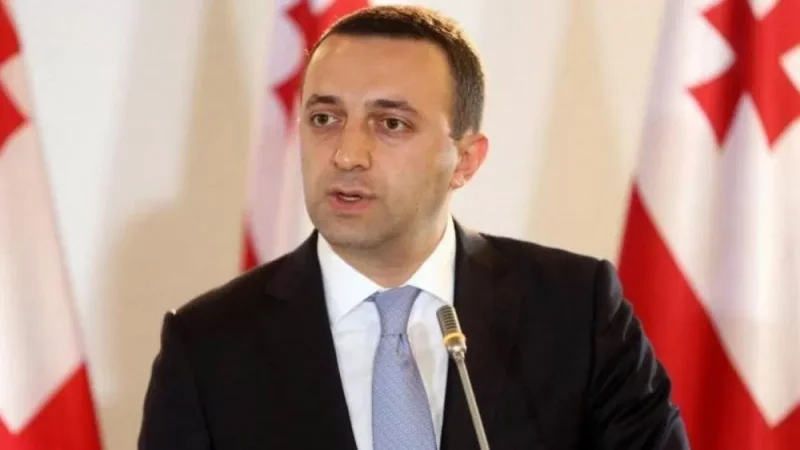 «Ուկրաինայի իշխանությունները շահագրգռված էին, որ ԵՄ-ն հրաժարվի Վրաստանին թեկնածուի կարգավիճակ տալ». Ղարիբաշվիլի