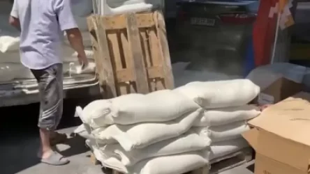 ՏԵՍԱՆՅՈՒԹ. Քաղաքացիները 100 պարկ ալյուր են տեղափոխել ՄԱԿ-ի գրասենյակի դիմաց