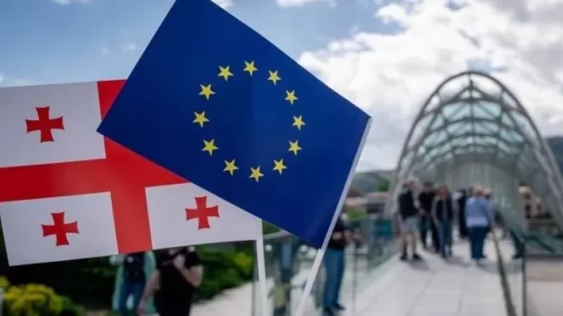 6 ամսվա ընթացքում ԵՄ երկրներն արտաքսել են Վրաստանի 2313 քաղաքացու