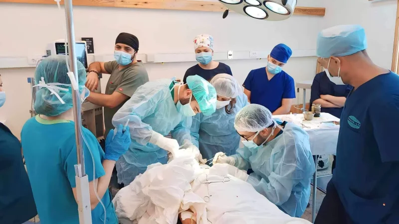 Պատառոտված վերքերից բացի գլխի վրա եղել են նաև կոտրվածքներ. 8-ամյա երեխային կծած շունը մեկուսացվել է