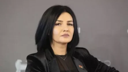 «Մեզ ադրբեջան խցկողների ջանքերն արդյունավետ չեն». Մետաքսե Հակոբյան