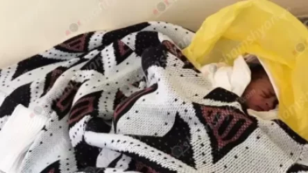 Նորածնին շները քաշելով հասցրել են գյուղացիներից մեկի տան հետնամաս. մանրամասներ