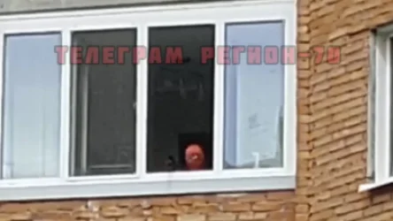 ՏԵՍԱՆՅՈՒԹ. Բարձրահարկ շենքի պատուհանից երեխան օդամղիչ հրացանից կրակել է անցորդների ուղղությամբ. ՌԴ