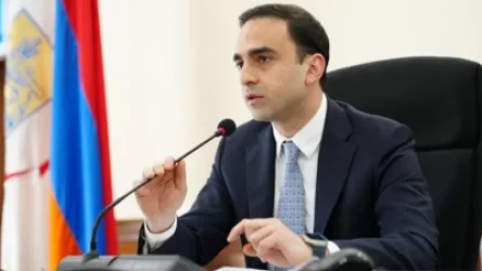 ՏԵՍԱՆՅՈՒԹ․ Դալմայի այգիներում հազվագյուտ տարածք ունենք, որ կարող ենք անտառապատում անել. Ավինյան