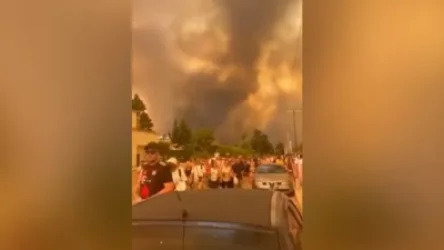 ՏԵՍԱՆՅՈՒԹ. Հրդեհների պատճառով մարդիկ զանգվածաբար տարհանվում են Ռոդոս կղզուց