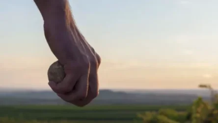 ՏԵՍԱՆՅՈՒԹ. Ամուսինը բենզին է լցրել տան վրա, սպառնացել է այրել, նաև քարով խփել է կնոջ գլխին