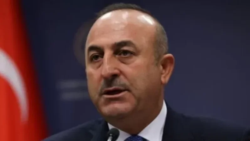 Հայերը նույնպես շատ գոհ են. Չավուշօղլու