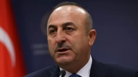 Հայերը նույնպես շատ գոհ են. Չավուշօղլու