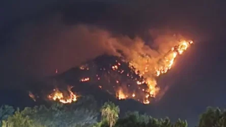 ՏԵՍԱՆՅՈՒԹ․ Թուրքական Քեմերում մոլեգնում են անտառային հրդեհները