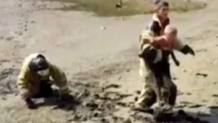 ՏԵՍԱՆՅՈՒԹ․ Փրկարարները դուրս են բերում ճահճի մեջ խրված տղային․ ՌԴ