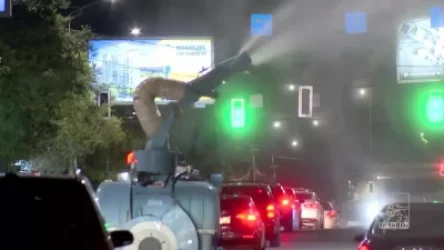 ՏԵՍԱՆՅՈՒԹ. Երևանում ծառերի բուժման հիմնական գործընթացը կատարվում է գիշերային ժամերին