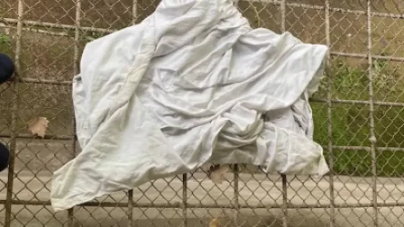 ՏԵՍԱՆՅՈՒԹ. Ինչպես են փորձել փախցնել կալանավորին