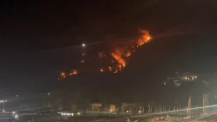 ՏԵՍԱՆՅՈՒԹ․ Թուրքիայում չի հաջողվում մարել անտառային հրդեհները