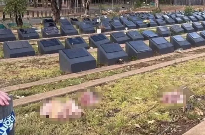 Սիդնեյում կրակոցներից հետո մուսուլմանական գերեզմանատանը հայտնաբերել են խոզի գլուխներ