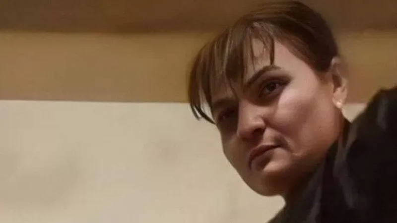 Երեխային բռնության ենթարկած կնոջը քիչ առաջ տեղափոխեցին Աբովյանի կանանց գաղութ․ ArmLur