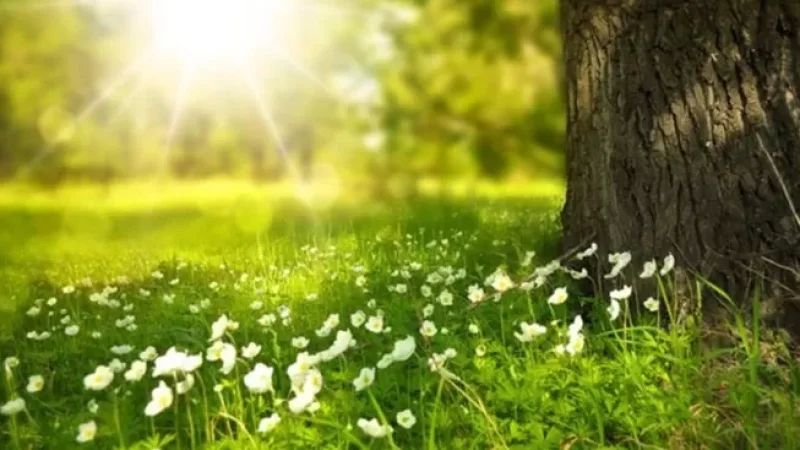 Առաջիկա օրերի եղանակը