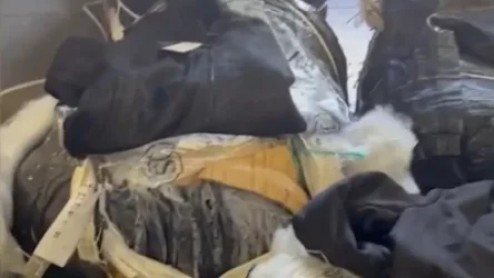 ՏԵՍԱՆՅՈՒԹ․ 2 տոննայից ավելի չհայտարարագրված հագուստի տեղափոխման կանխարգելում՝ Բագրատաշենում․ ՊԵԿ