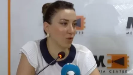 ՏԵՍԱՆՅՈՒԹ. Արդարացի գործընթացներ չենք կարող ակնկալել Վագիֆ Խաչատրյանի պարագայում. Սիրանուշ Սահակյան