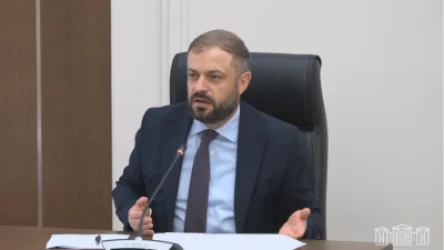 Նոր հաղորդուղին կնվազեցնի ղազախական ցորենի գինը. Գևորգ Պապոյան