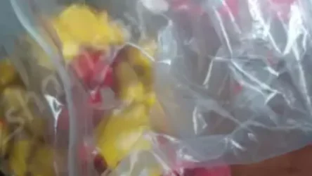 Երևանում պարեկներն իրականացրել են «Հագել ես դեղին, թմրանյութը՝ նստատեղիդ» օպերացիա