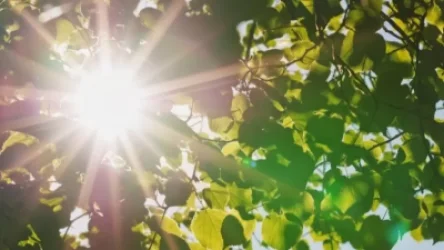 Առաջիկա 5 օրերի եղանակի կանխատեսումը