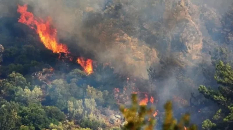 ՀՀ-ում կստեղծվի աշխատանքային խումբ` անտառային հնարավոր հրդեհները կանխելու համար