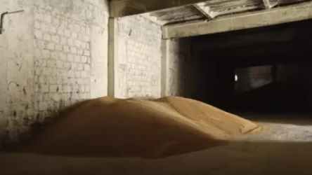 ՏԵՍԱՆՅՈՒԹ. Թռչնաֆաբրիկայից շուրջ 18 մլն դոլարի գողություն է կատարել