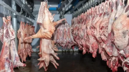 Զգուշացում․ Արցախում արձանագրվել են «խոզերի աֆրիկական ժանտախտ» հիվանդության օջախներ