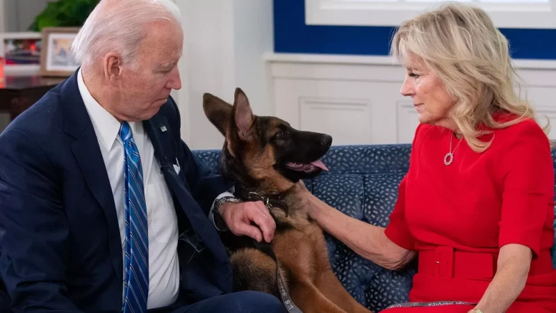 Բայդենների ընտանիքը գումար է ստացել նաև Ռուսաստանից. ԱՄՆ Կոնգրես